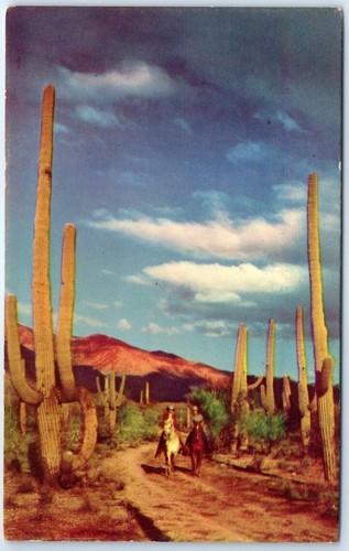 Postcard riders on the - postcard,
